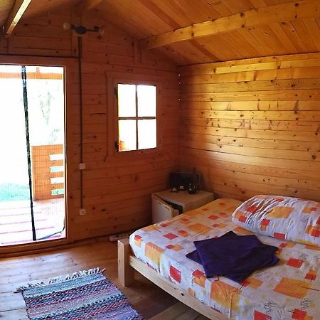 Retezat Retreat - Wood Cabin Clopotiva エクステリア 写真