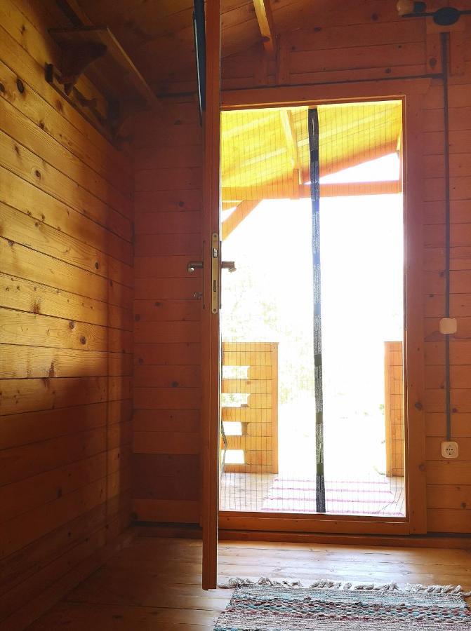 Retezat Retreat - Wood Cabin Clopotiva エクステリア 写真