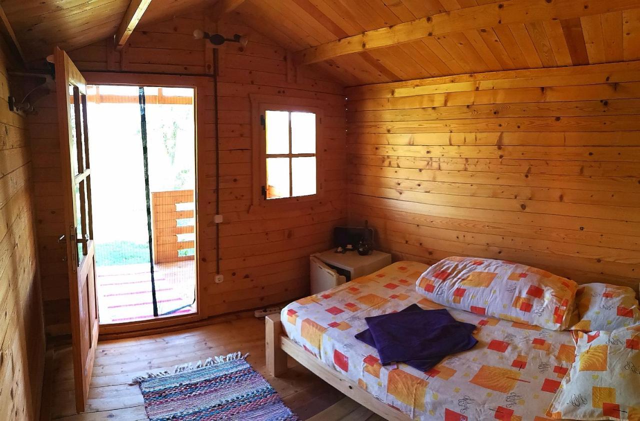 Retezat Retreat - Wood Cabin Clopotiva エクステリア 写真