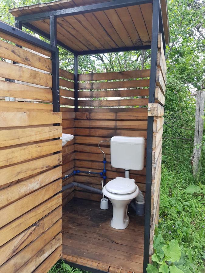 Retezat Retreat - Wood Cabin Clopotiva エクステリア 写真
