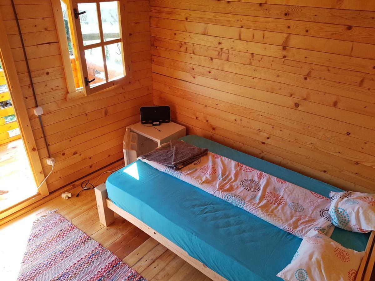Retezat Retreat - Wood Cabin Clopotiva エクステリア 写真