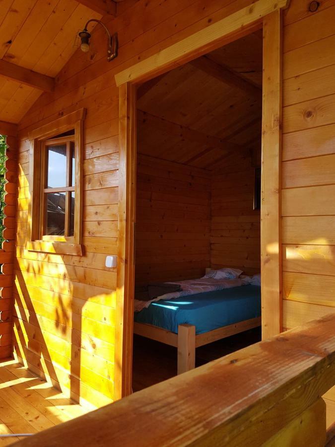 Retezat Retreat - Wood Cabin Clopotiva エクステリア 写真